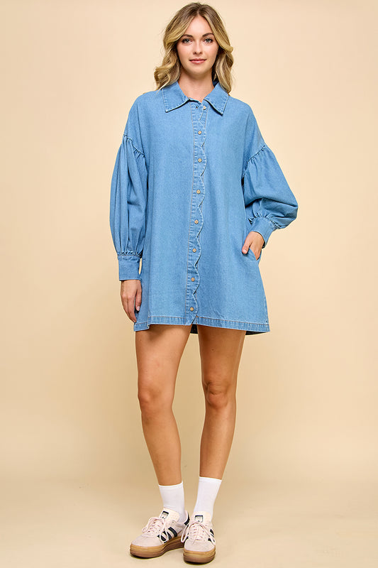 Iris Denim Mini Dress